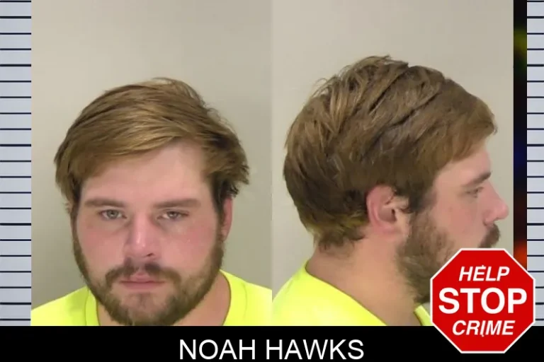 Noah Hawks