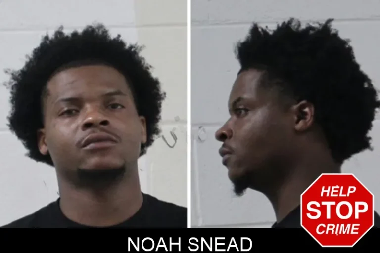 Noah Snead