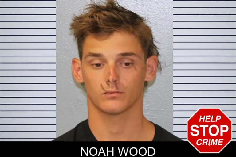 Noah Wood mugshot – Mcintosh County , Georgia Noah Wood