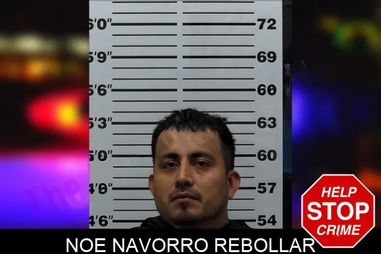 Noe Navorro Rebollar
