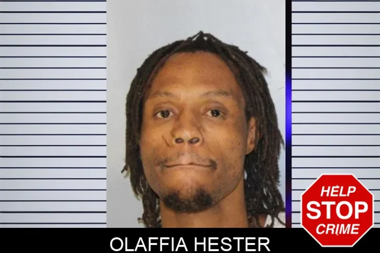 Olaffia Hester mugshot – Hall County , Georgia Olaffia Hester