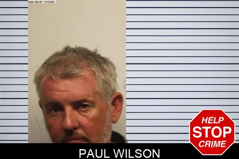 Paul Wilson