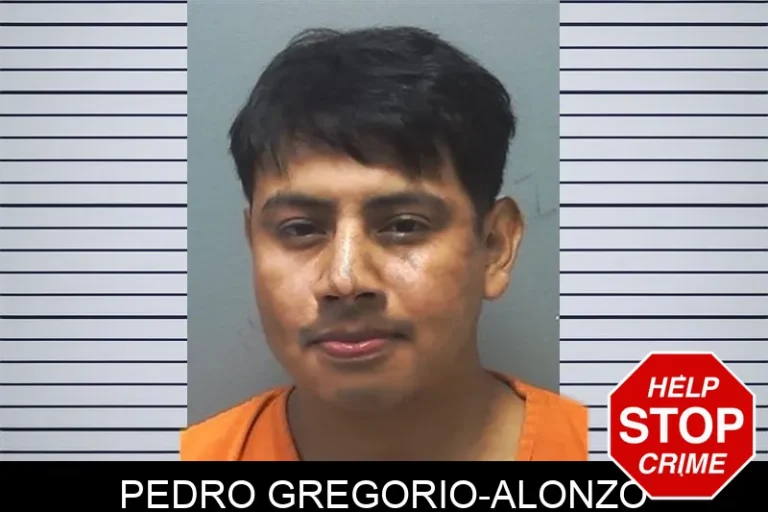 Pedro Gregorio-Alonzo