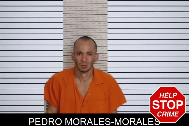 Pedro Morales-Morales