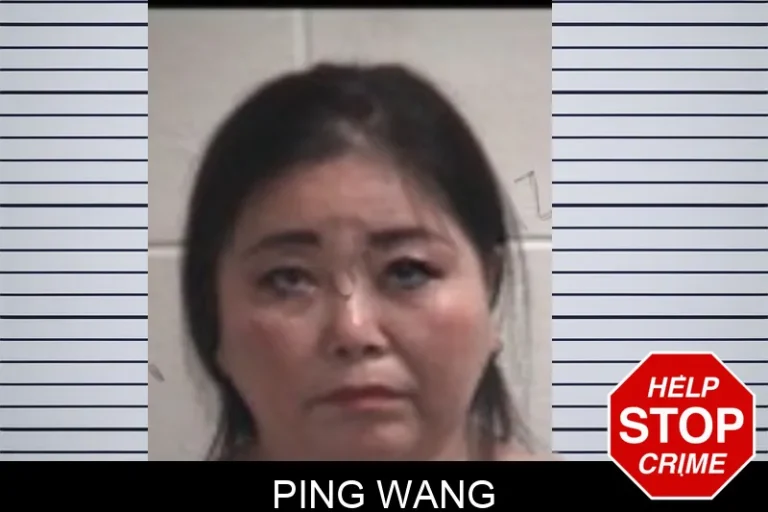 Ping Wang
