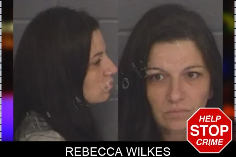 Rebecca Wilkes mugshot – Barrow County , Georgia Rebecca Wilkes