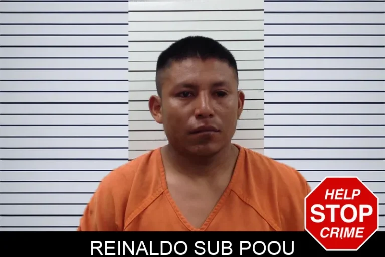 Reinaldo Sub Poou mugshot – Pickens County , Georgia Reinaldo Sub Poou