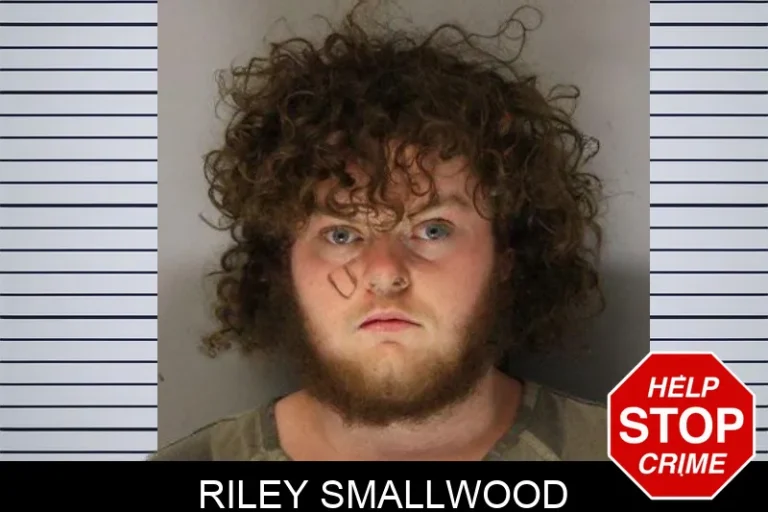 Riley Smallwood mugshot – Hall County , Georgia Riley Smallwood