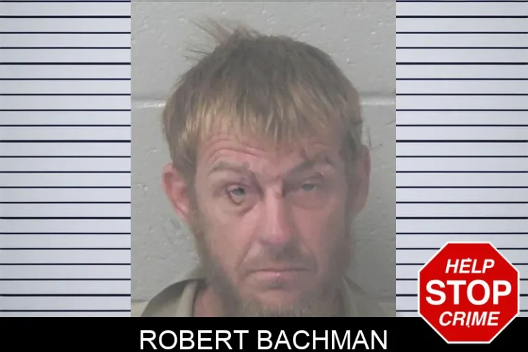 Robert Bachman