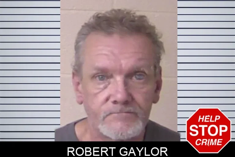 Robert Gaylor