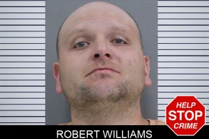 Robert Williams mugshot