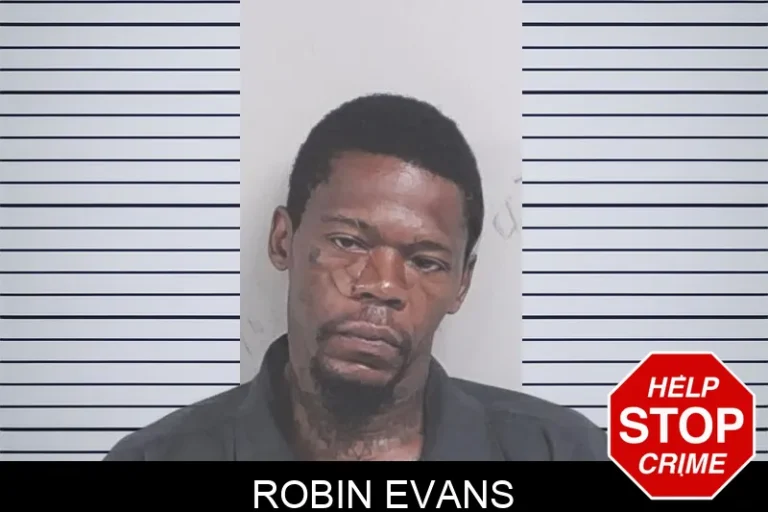Robin Evans