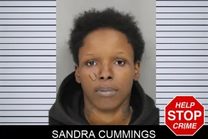 Sandra Cummings mugshot
