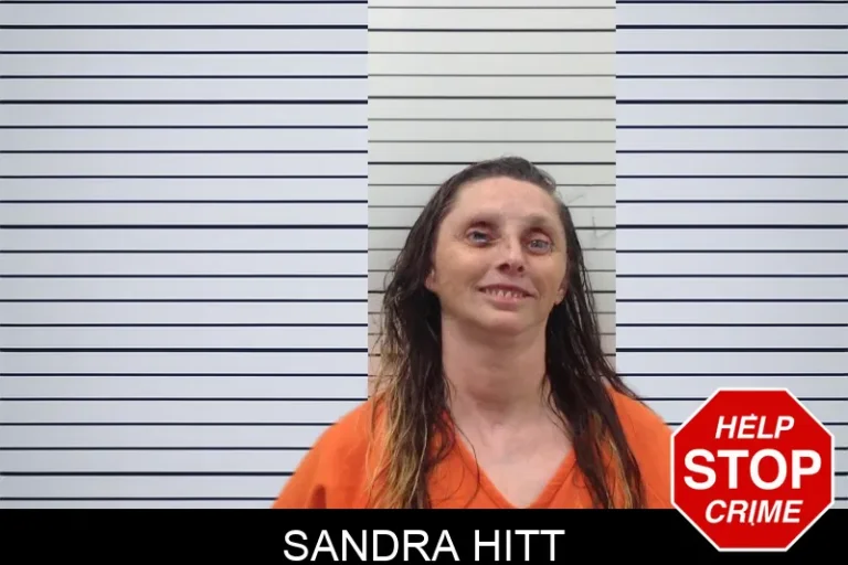Sandra Hitt