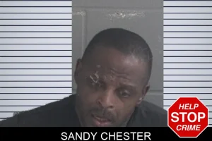 Sandy Chester mugshot