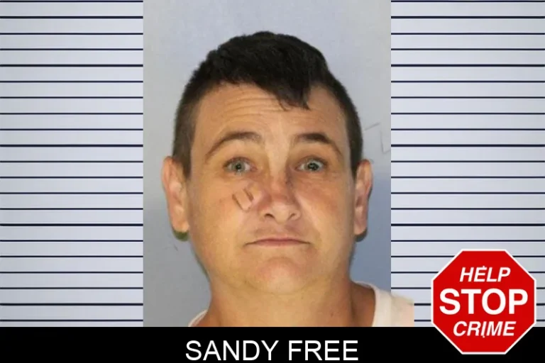 Sandy Free mugshot – Hall County , Georgia Sandy Free