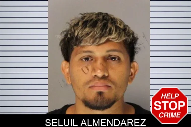 Seluil Almendarez mugshot – Hall County , Georgia Seluil Almendarez