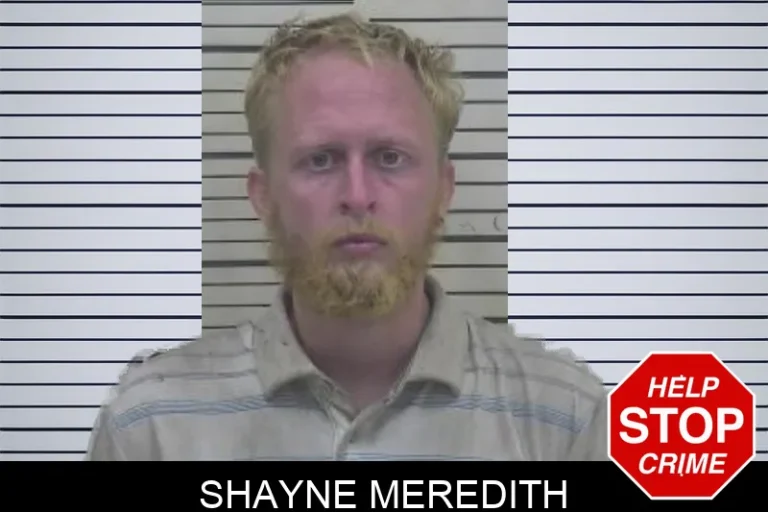 Shayne Meredith