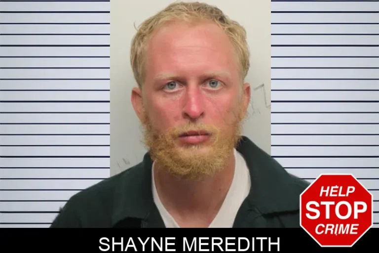 Shayne Meredith