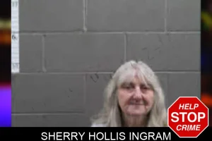 Sherry Hollis Ingram mugshot
