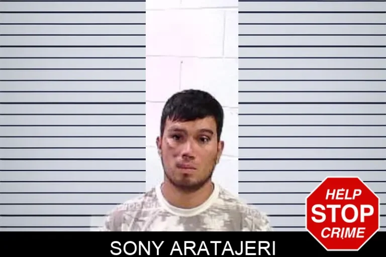 Sony Aratajeri