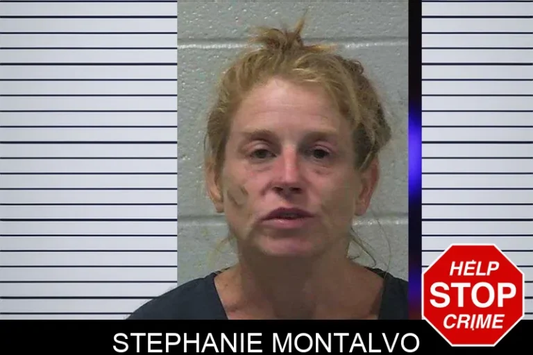 Stephanie Montalvo mugshot – Gilmer County , Georgia Stephanie Montalvo