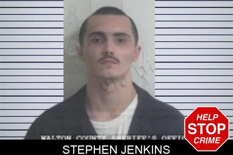 Stephen Jenkins