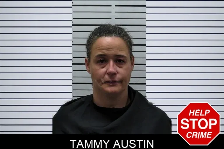 Tammy Austin mugshot – Hart County , Georgia Tammy Austin