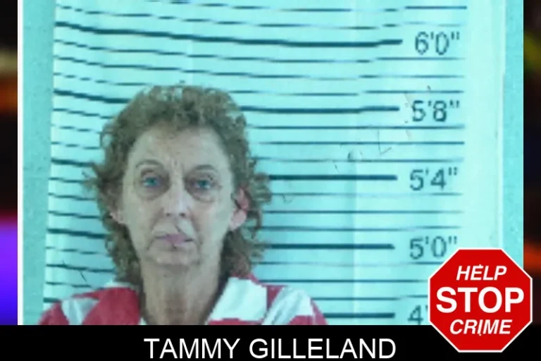 Tammy Gilleland mugshot – Stephens County , Georgia Tammy Gilleland