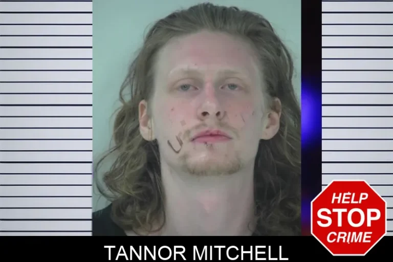 Tannor Mitchell