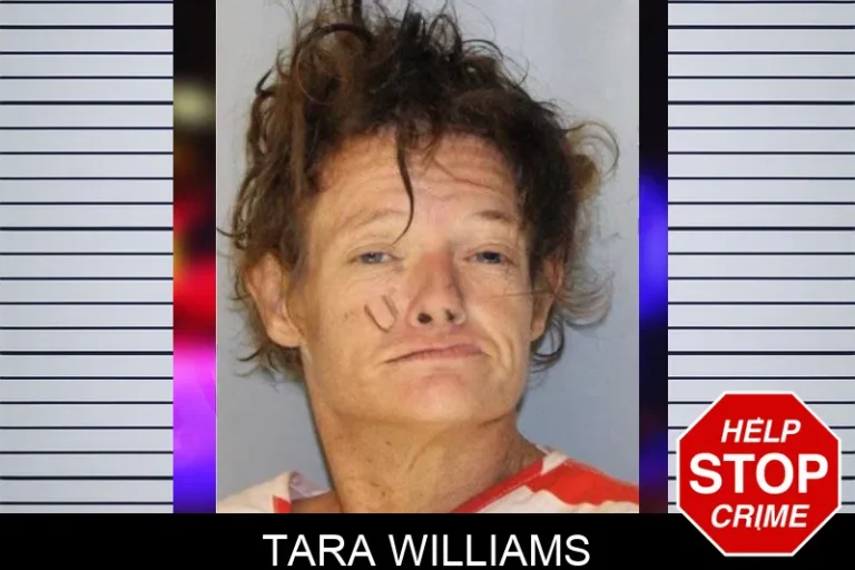 Tara Williams mugshot – Hall County , Georgia Tara Williams