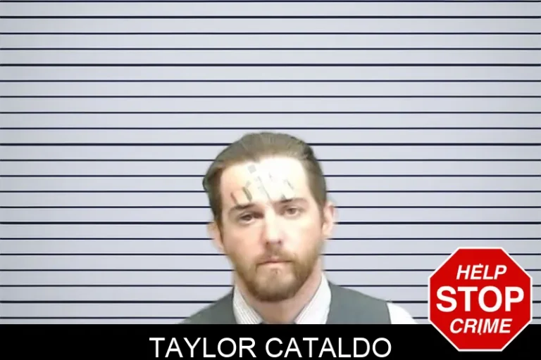 Taylor Cataldo