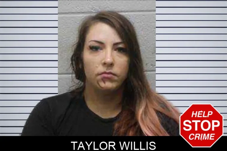 Taylor Willis