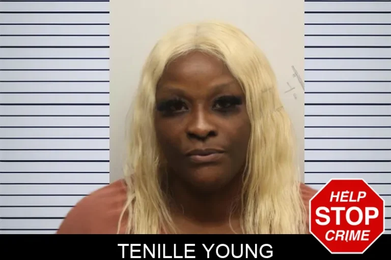 Tenille Young mugshot – Chatham County , Georgia Tenille Young
