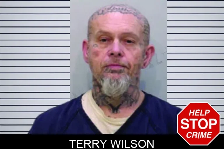 Terry Wilson