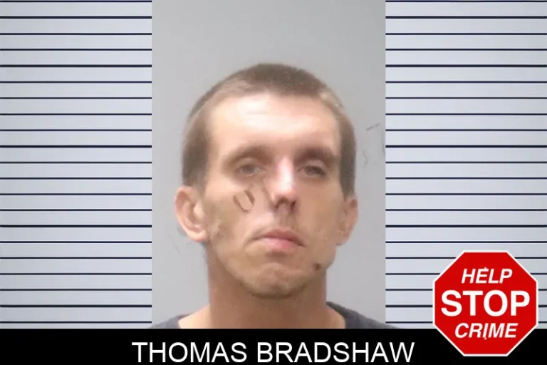 Thomas Bradshaw