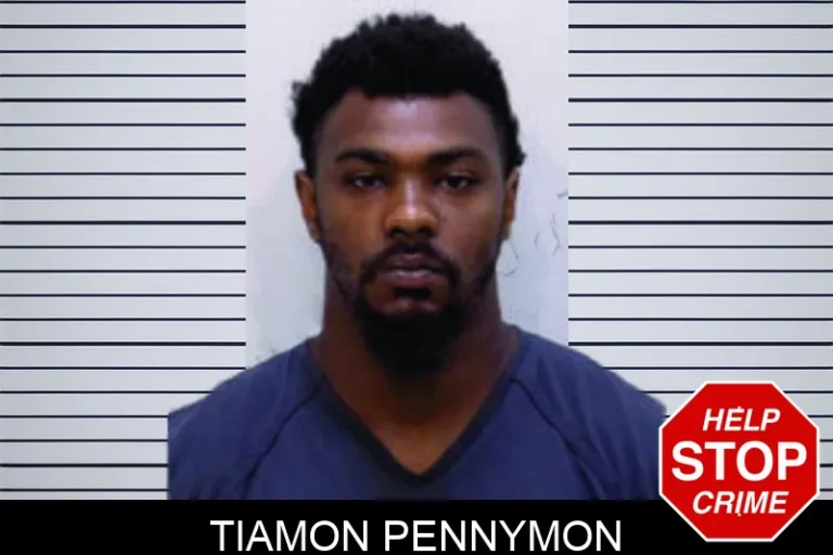 Tiamon Pennymon