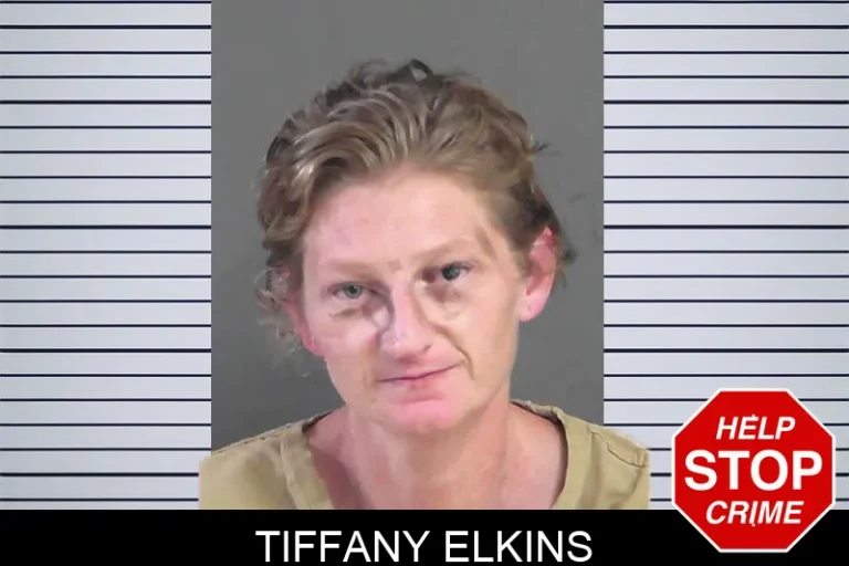 Tiffany Elkins