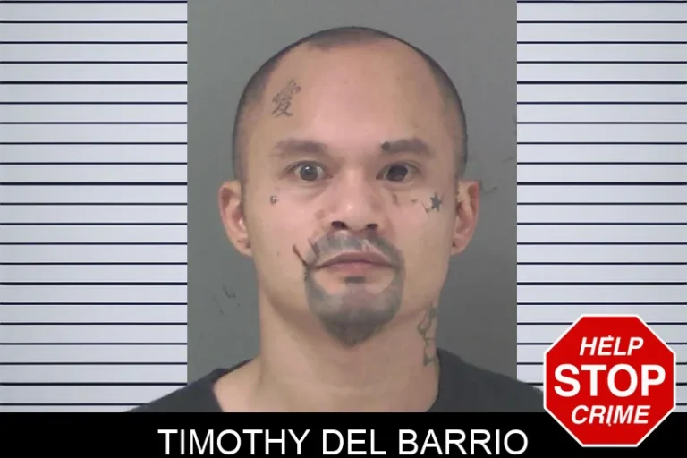 Timothy Del Barrio
