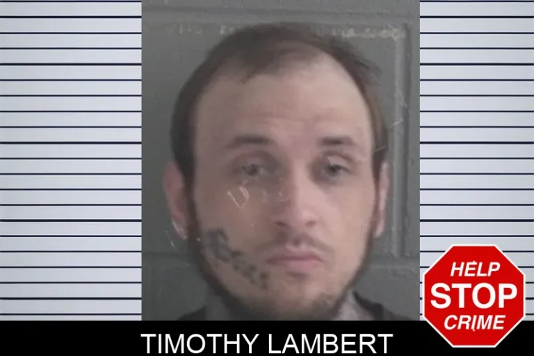 Timothy Lambert