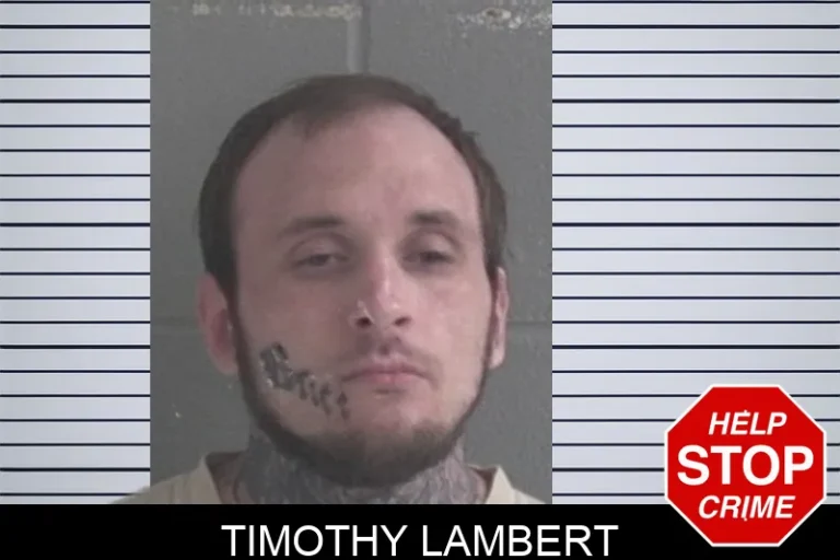 Timothy Lambert