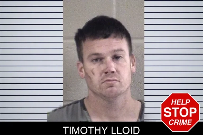 Timothy Lloid