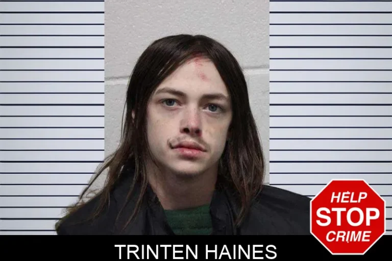Trinten Haines