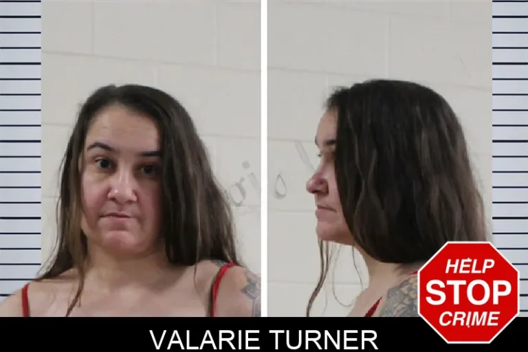 Valarie Turner mugshot – Houston County , Georgia Valarie Turner