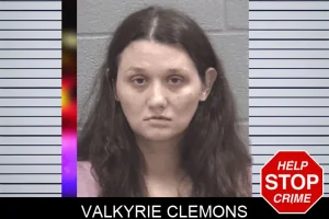 Valkyrie Clemons mugshot