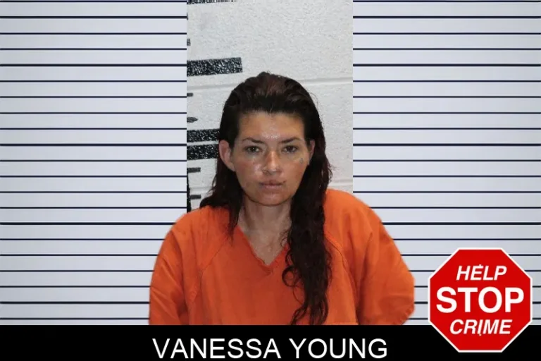Vanessa Young mugshot – Murray County , Georgia Vanessa Young