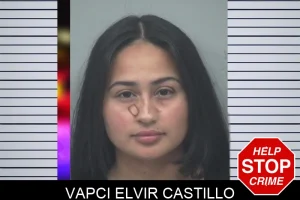 Vapci Elvir Castillo mugshot