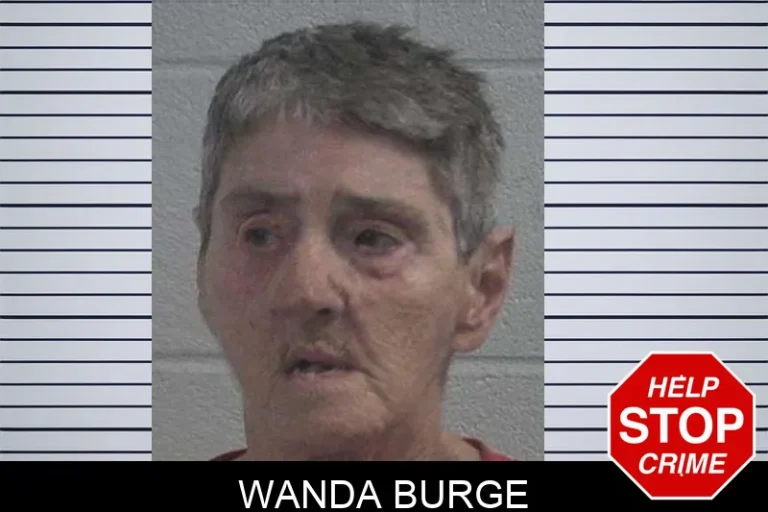 Wanda Burge mugshot – McDuffie County , Georgia Wanda Burge
