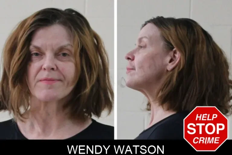 Wendy Watson mugshot – Houston County , Georgia Wendy Watson
