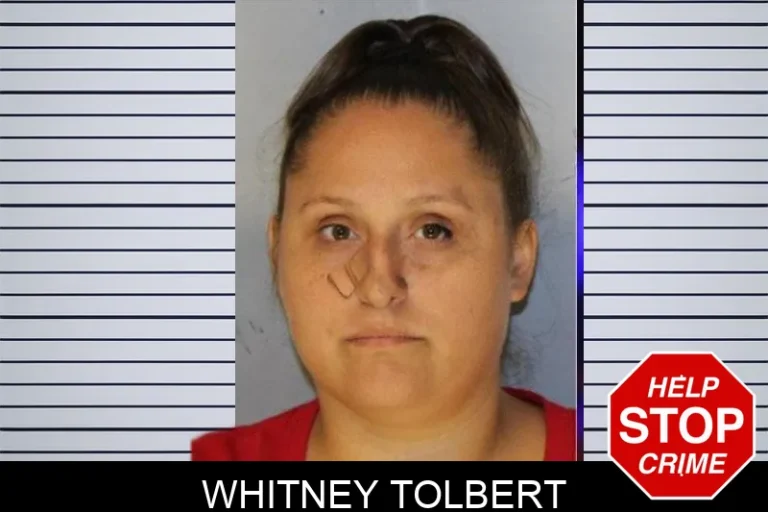 Whitney Tolbert mugshot – Hall County , Georgia Whitney Tolbert